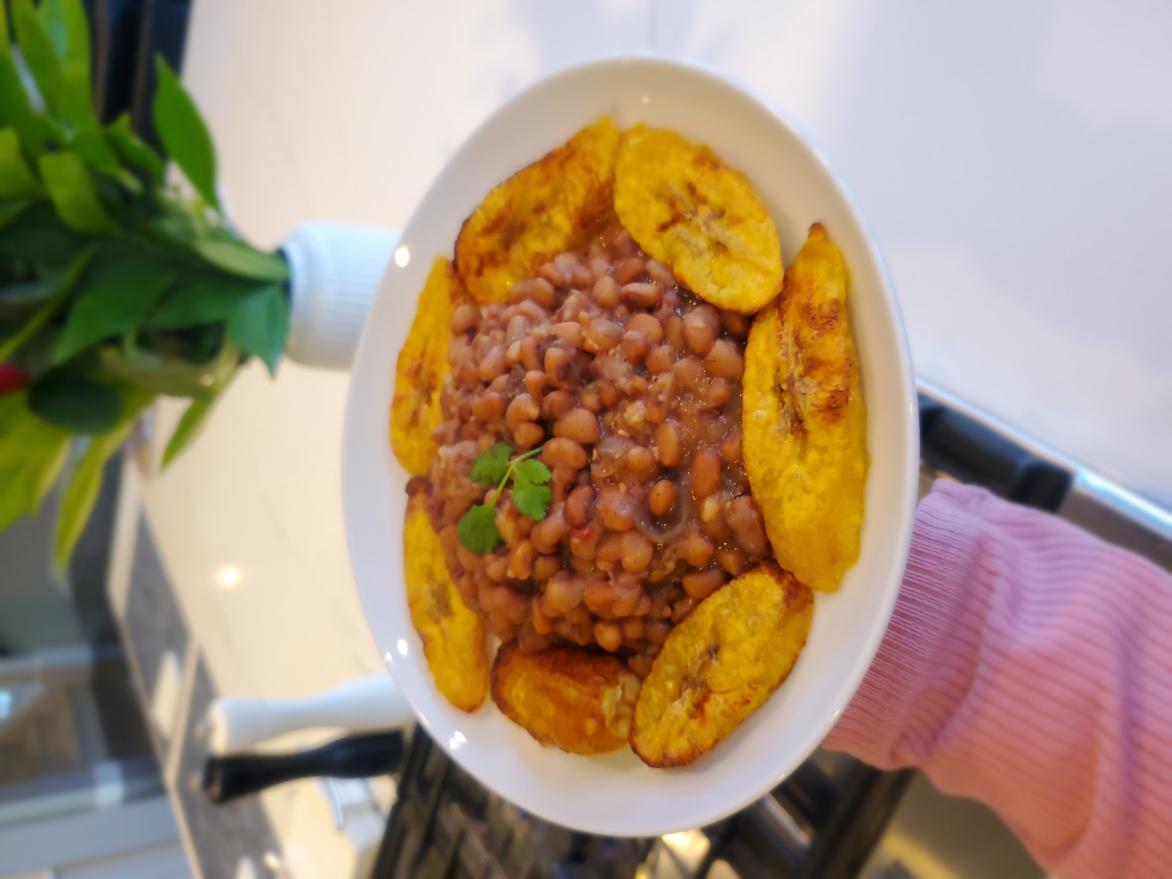 Air Fried Plantains